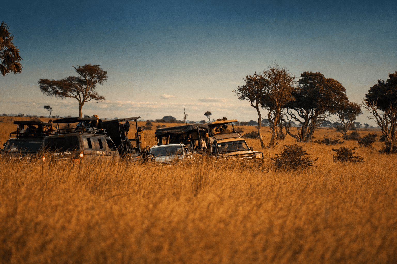 Multiple safari vehicles in open savanna at Murchison Falls National Park, Uganda — guests on a full-day game drive excursion